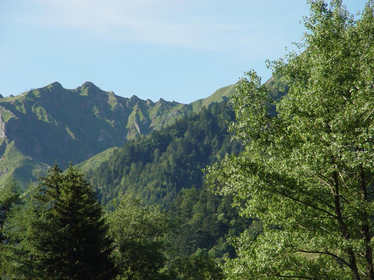 Hotel Le Progres Dorlotel Le Mont-Dore Luaran gambar